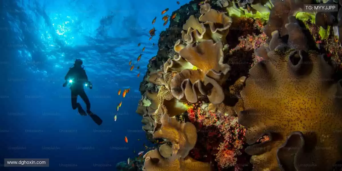 💥🎯 直播互动，全民参与！